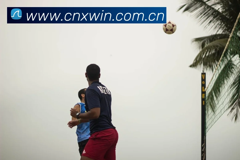 开云官方登录平台生态图